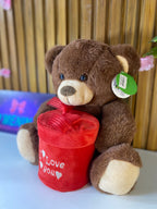 Urso de Pelúcia Castanho- I Love You
