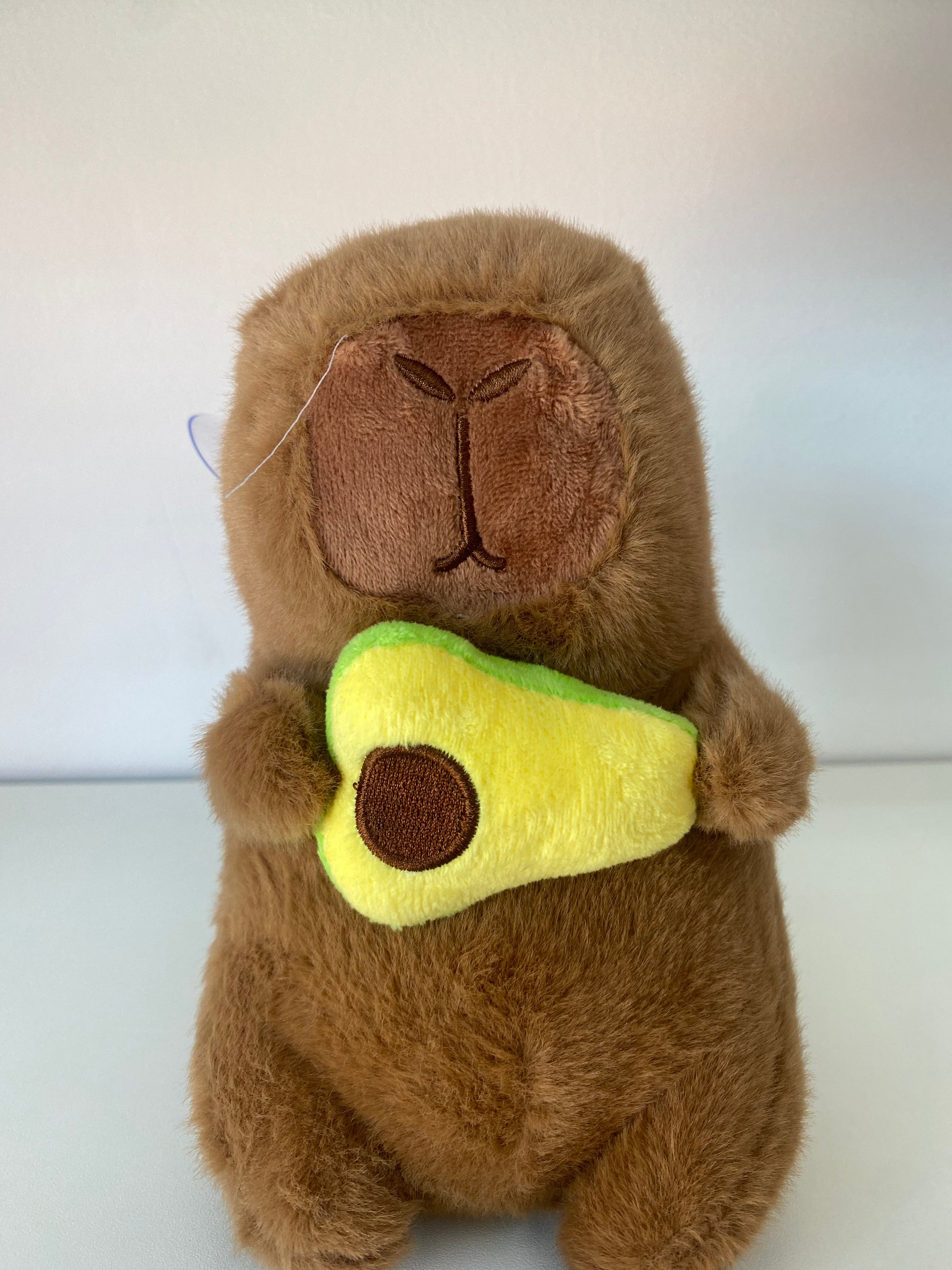 Pelúcia Capivara com Abacate 🥑✨