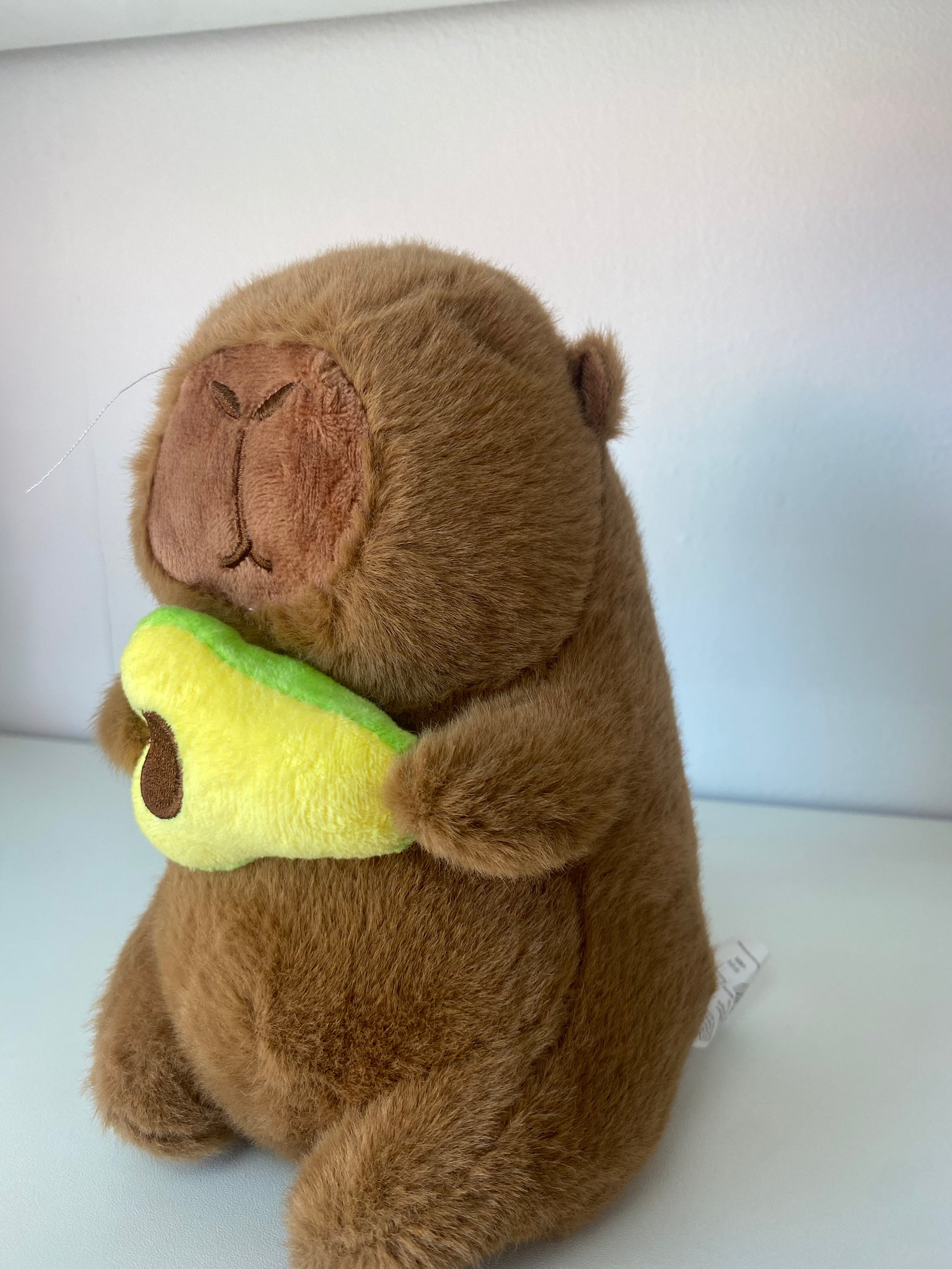 Pelúcia Capivara com Abacate 🥑✨